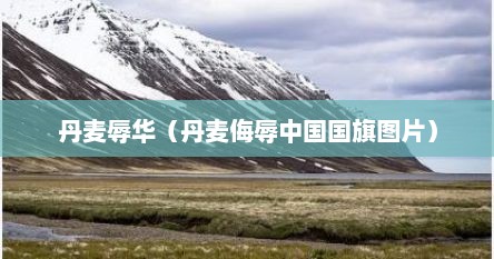 丹麦辱华（丹麦侮辱中国国旗图片）