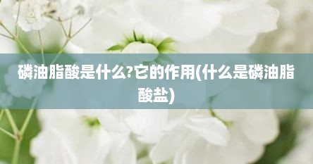 磷油脂酸是什么?它的作用(什么是磷油脂酸盐)