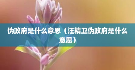 伪政府是什么意思（汪精卫伪政府是什么意思）