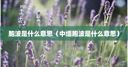 胞波是什么意思（中缅胞波是什么意思）