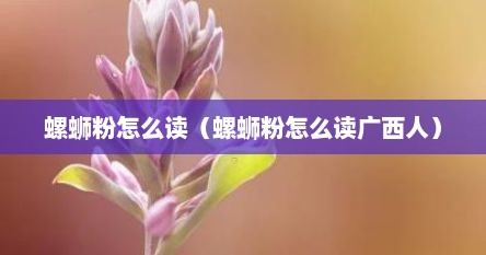 螺蛳粉怎么读（螺蛳粉怎么读广西人）