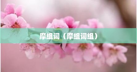 摩组词（摩组词组）