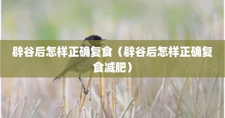 辟谷后怎样正确复食（辟谷后怎样正确复食减肥）