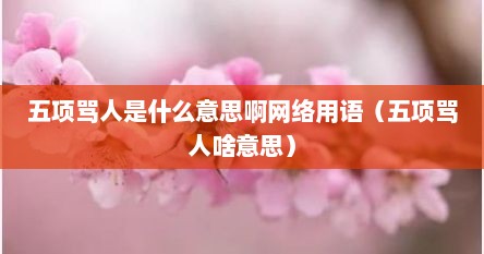 五项骂人是什么意思啊网络用语（五项骂人啥意思）