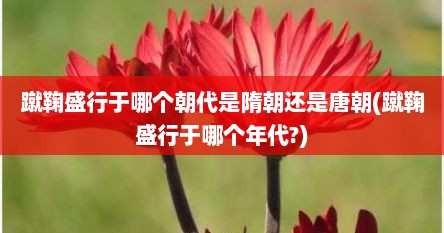 蹴鞠盛行于哪个朝代是隋朝还是唐朝(蹴鞠盛行于哪个年代?)