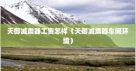 天御减震器工资怎样（天御减震器车间环境）