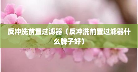 反冲洗前置过滤器（反冲洗前置过滤器什么牌子好）