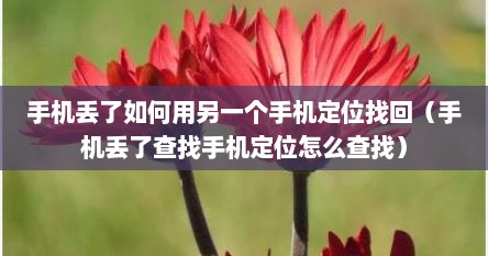 手机丢了如何用另一个手机定位找回（手机丢了查找手机定位怎么查找）