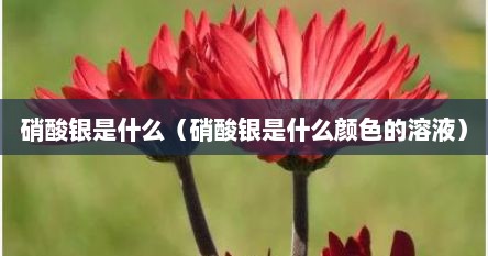硝酸银是什么（硝酸银是什么颜色的溶液）