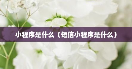 小程序是什么（短信小程序是什么）