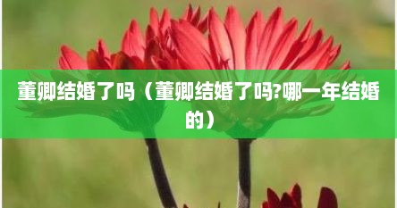 董卿结婚了吗(董卿结婚了吗?哪一年结婚的)