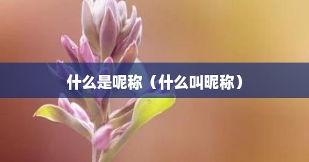 什么是呢称（什么叫昵称）