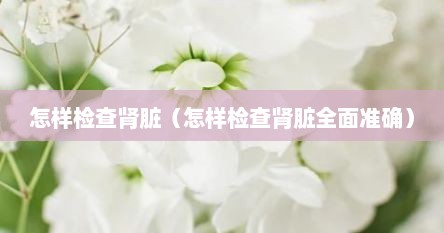 怎样检查肾脏（怎样检查肾脏全面准确）