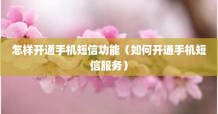 怎样开通手机短信功能（如何开通手机短信服务）
