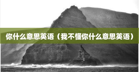 你什么意思英语（我不懂你什么意思英语）