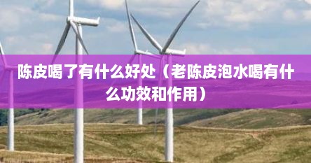 老陈皮水喝多了有何副作用（老陈皮泡水喝会上火吗）