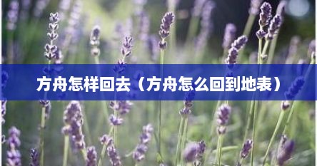 方舟怎样回去（方舟怎么回到地表）