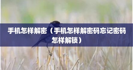 手机怎样解密（手机怎样解密码忘记密码怎样解锁）