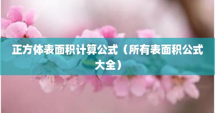 正方体表面积计算公式（所有表面积公式大全）