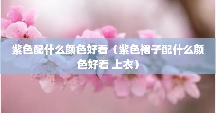 紫色配什么颜色好看（紫色裙子配什么颜色好看 上衣）