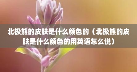 北极熊的皮肤是什么颜色的（北极熊的皮肤是什么颜色的用英语怎么说）