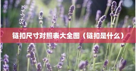 链扣尺寸对照表大全图（链扣是什么）