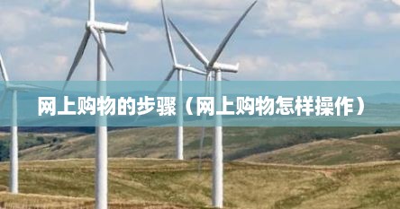 网上购物的步骤（网上购物怎样操作）