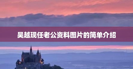吴越现任老公资料图片的简单介绍