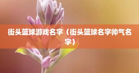 街头篮球游戏名字（街头篮球名字帅气名字）