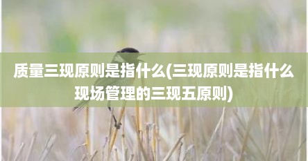 质量三现原则是指什么(三现原则是指什么现场管理的三现五原则)