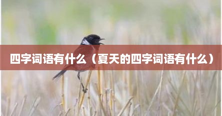 四字词语有什么（夏天的四字词语有什么）