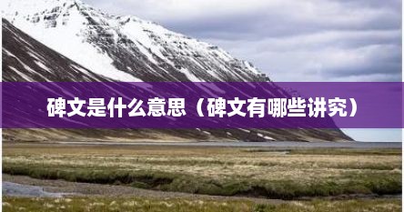 碑文参考（碑文指的是什么）