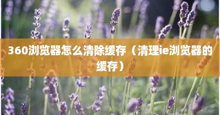 360浏览器怎么清除缓存（清理ie浏览器的缓存）