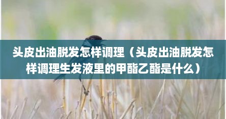 头皮出油脱发怎样调理（头皮出油脱发怎样调理生发液里的甲酯乙酯是什么）