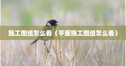 施工图纸怎么看（平面施工图纸怎么看）