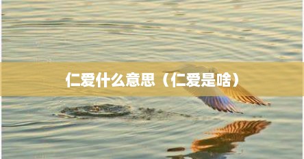 仁爱什么意思（仁爱是啥）