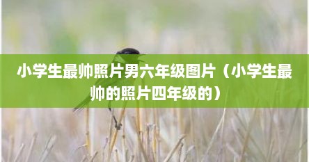 小学生最帅照片男六年级图片（小学生最帅的照片四年级的）