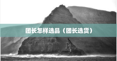 团长怎样选品（团长选货）