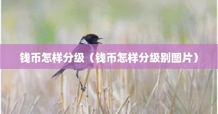 钱币怎样分级（钱币怎样分级别图片）