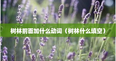 树林前面加什么动词（树林什么填空）