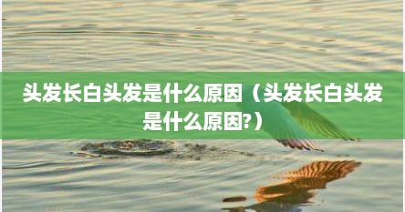 油性头发更容易长白头发吗（头发长白头发是什么原因）