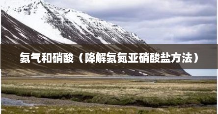 氨气和硝酸（降解氨氮亚硝酸盐方法）