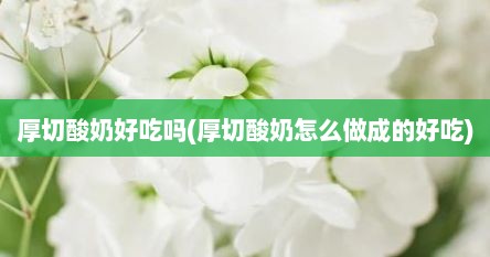 厚切酸奶好吃吗(厚切酸奶怎么做成的好吃)
