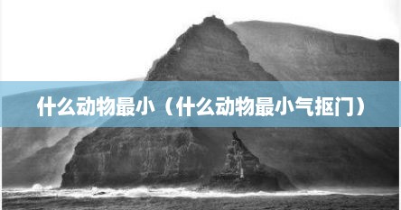 什么动物最小（什么动物最小气抠门）