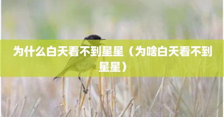 为什么白天看不到星星（为啥白天看不到星星）