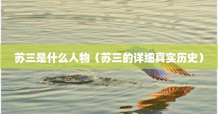 苏三是什么人物（苏三的详细真实历史）