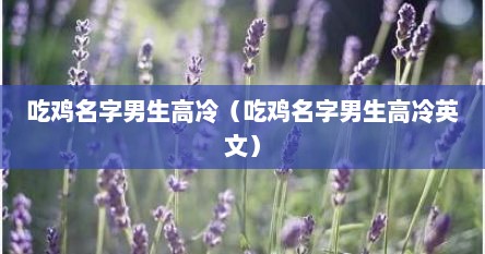 吃鸡名字男生高冷（吃鸡名字男生高冷英文）