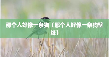 那个人好像一只狗图片（那人好像一条狗是谁对谁说的）