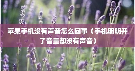 苹果手机没有声音怎么回事（手机明明开了音量却没有声音）