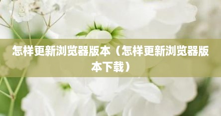 怎样更新浏览器版本（怎样更新浏览器版本下载）
